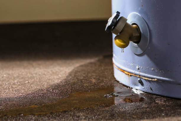 Best Residential water damage restoration  in Brookwood, AL