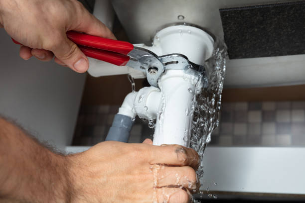 Best 24-hour water damage restoration  in Brookwood, AL