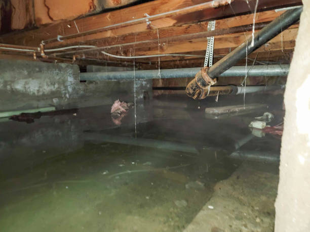 Best Water damage restoration company  in Brookwood, AL