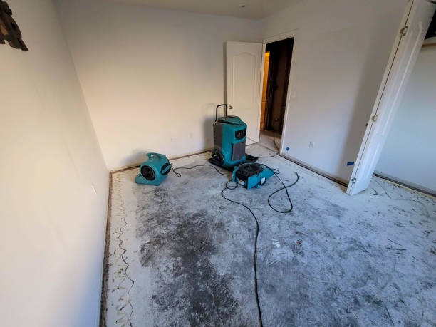 Best 24/7 water damage repair  in Brookwood, AL