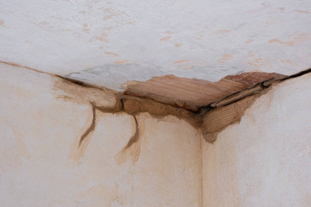 Best Flood damage cleanup  in Brookwood, AL