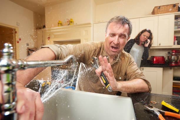 Best Flood restoration services  in Brookwood, AL